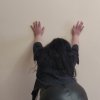 Проститутка-индивидуалка Надежда