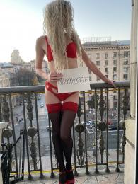 Проститутка-индивидуалка Вера у метро Выставочный центр